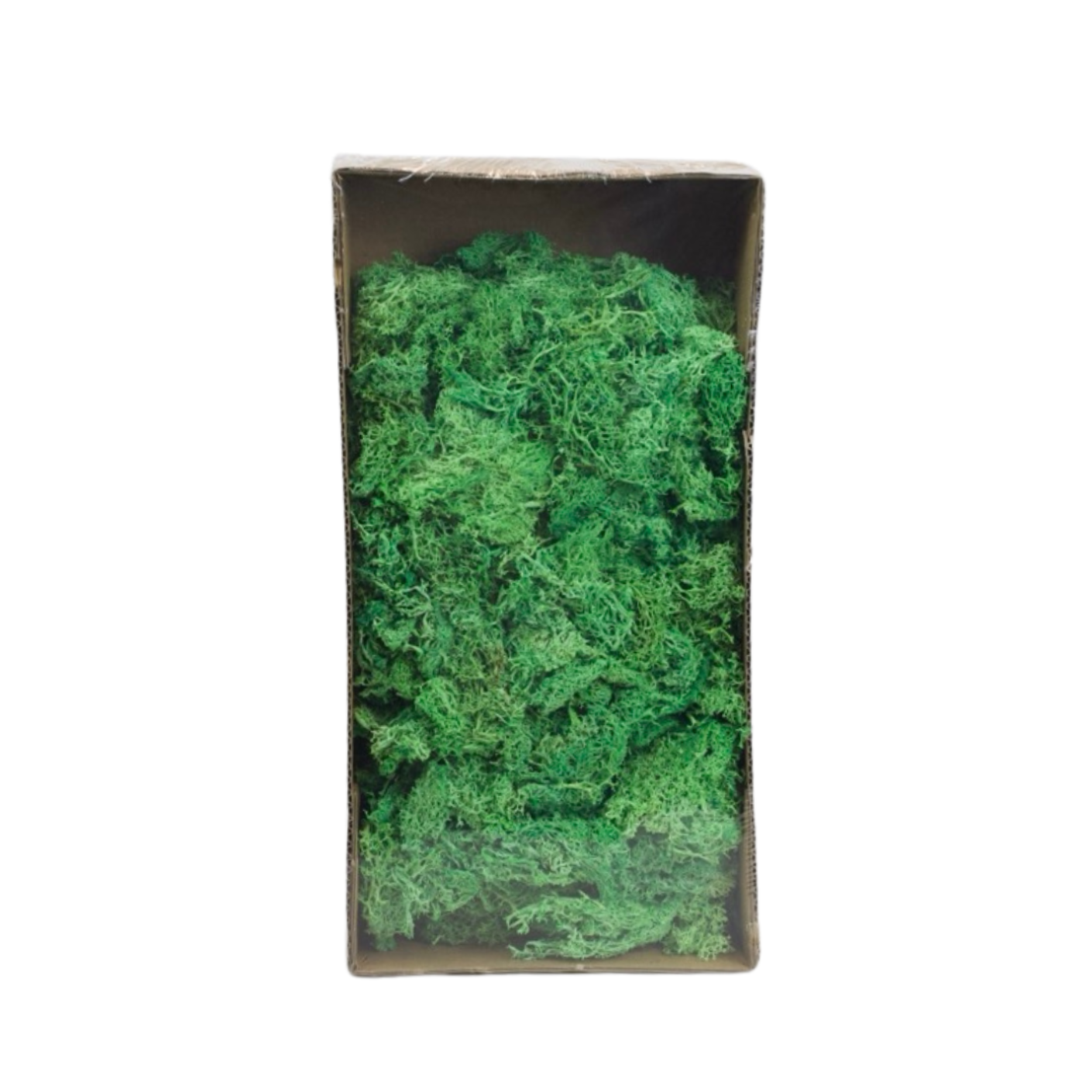 Preserved moss, 500 g